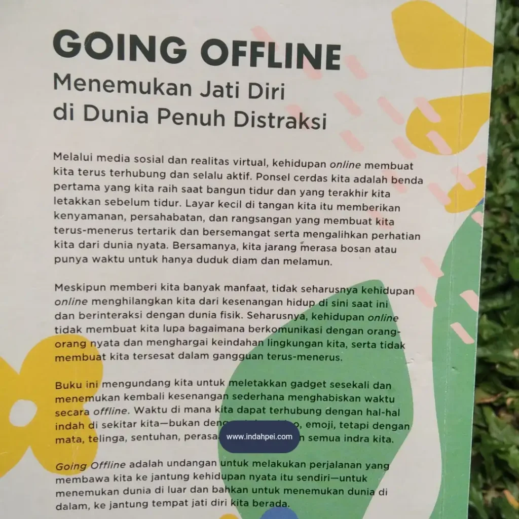 Blurb buku Going Offline Desi Anwar