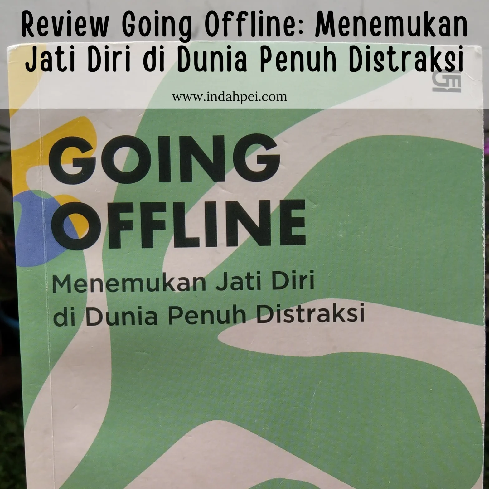 Review Going Offline karya Desi Anwar